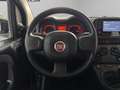Fiat New Panda - Panda 1.0 firefly hybrid City Life s&s 70cv Grau - thumbnail 10