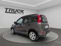 Fiat New Panda - Panda 1.0 firefly hybrid City Life s&s 70cv Grau - thumbnail 4