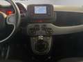 Fiat New Panda - Panda 1.0 firefly hybrid City Life s&s 70cv Grau - thumbnail 9