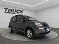 Fiat New Panda - Panda 1.0 firefly hybrid City Life s&s 70cv Grau - thumbnail 3
