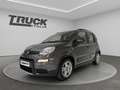 Fiat New Panda - Panda 1.0 firefly hybrid City Life s&s 70cv Grau - thumbnail 1