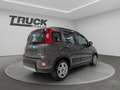 Fiat New Panda - Panda 1.0 firefly hybrid City Life s&s 70cv Grau - thumbnail 6