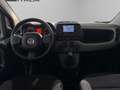 Fiat New Panda - Panda 1.0 firefly hybrid City Life s&s 70cv Grau - thumbnail 7