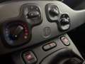 Fiat New Panda - Panda 1.0 firefly hybrid City Life s&s 70cv Grau - thumbnail 24