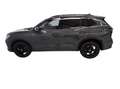 Volkswagen Tiguan R-Line 2.0 TSI neuesMod./AHK/Standhzg/03. Gris - thumbnail 6