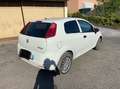Fiat Punto 1.3 multijet Білий - thumbnail 3