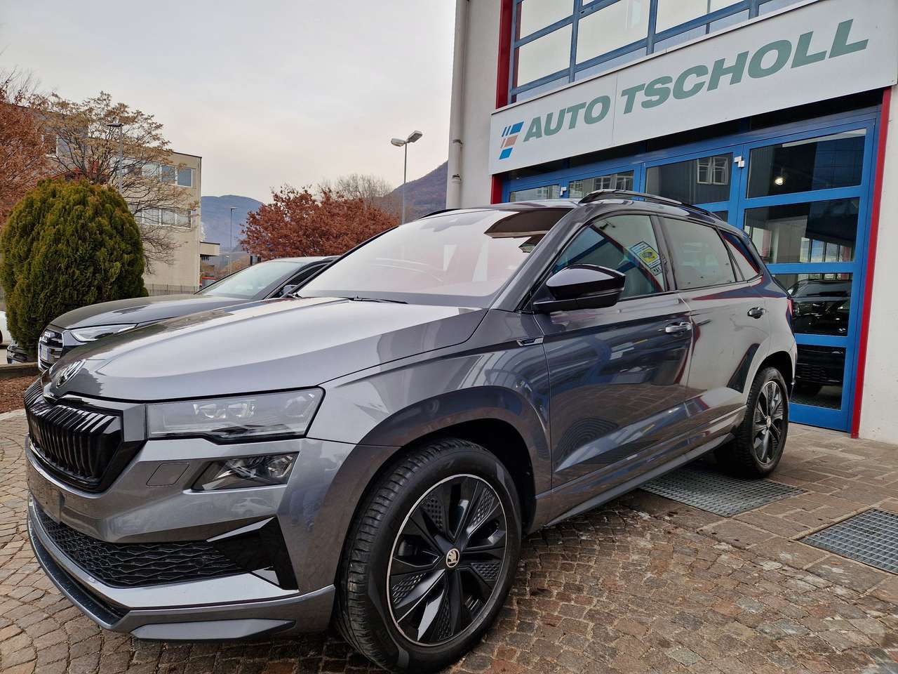 Skoda Karoq 2.0 TDI 150Cv Sportline 4x4 DSG Matrix ACC VirCock
