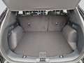 Ford Kuga TITANIUM X 2.0 Diesel EcoBlue Automatik Noir - thumbnail 13