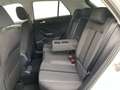 Volkswagen T-Roc 1.5 TSI Life AHK Kamera ACC LED PDC Klima Weiß - thumbnail 11