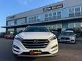Hyundai TUCSON Tucson II 2015 1.7 crdi Xpossible 2wd 115cv Bianco - thumbnail 2