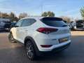 Hyundai TUCSON Tucson II 2015 1.7 crdi Xpossible 2wd 115cv Bianco - thumbnail 4