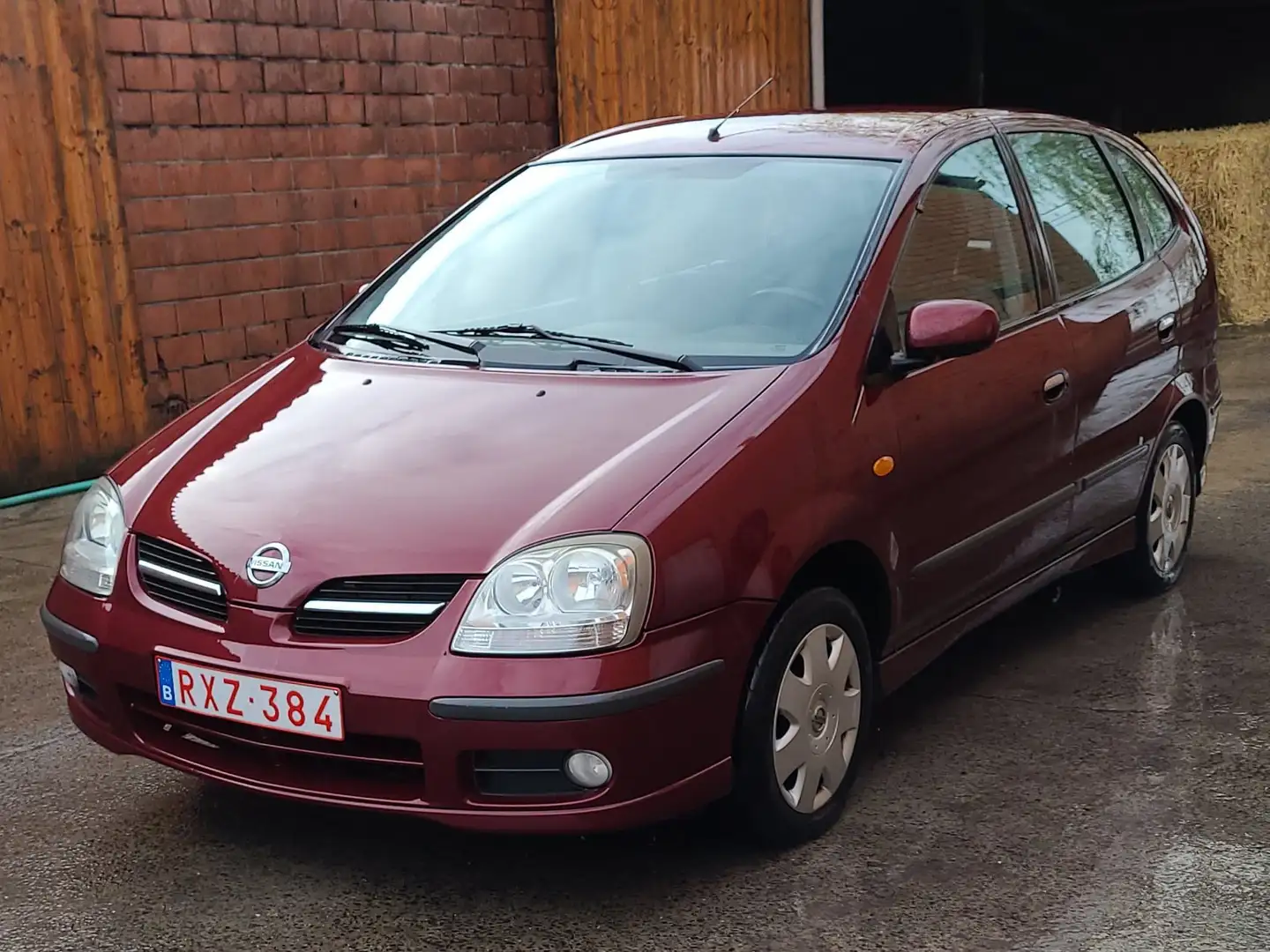 Nissan Almera Tino Almera Tino tekna Rojo - 2