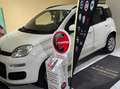 Fiat Panda Panda III 2012 0.9 twair natural power Lounge 80cv Bianco - thumbnail 3
