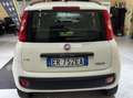 Fiat Panda Panda III 2012 0.9 twair natural power Lounge 80cv Bianco - thumbnail 2