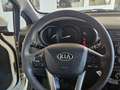 Kia Rio 1.2 Concept Blanco - thumbnail 18