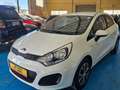 Kia Rio 1.2 Concept Blanco - thumbnail 5
