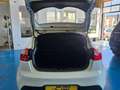 Kia Rio 1.2 Concept Blanco - thumbnail 10