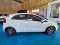 Kia Rio 1.2 Concept Blanco - thumbnail 8