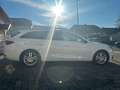 SEAT Leon Sportstourer FR RFK SHZ TOT SPUR A.TEMP NAV Weiß - thumbnail 6