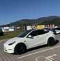Tesla Model Y Performance Dual Motor AWD - thumbnail 3