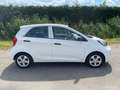 Kia Picanto 1.0 CVVT EconomyLine Blanc - thumbnail 8