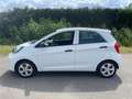 Kia Picanto 1.0 CVVT EconomyLine Blanc - thumbnail 4