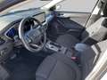 Ford Focus Turnier 1.5 EcoBlue Titanium X LED Kamera Silber - thumbnail 9