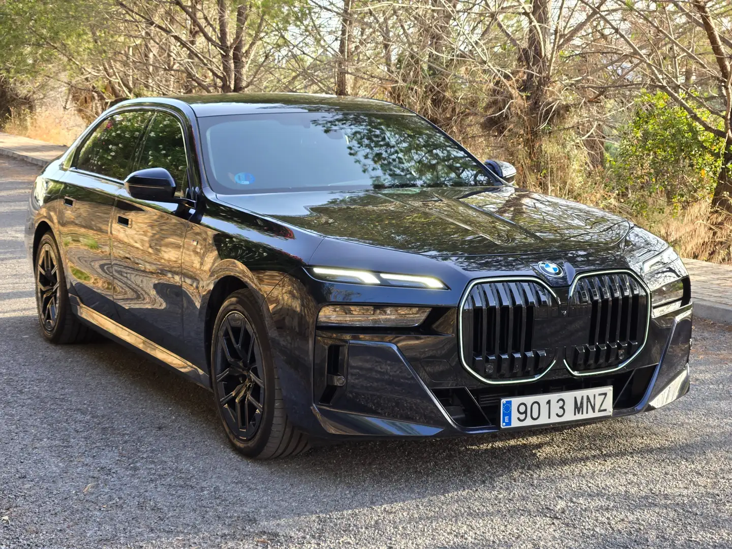 BMW 740 740dA xDrive Azul - 2