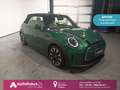 MINI Cooper Cabrio Cabrio Cooper ClassicTrim LED|Navi|PDC|Leder|SHZ Grün - thumbnail 1