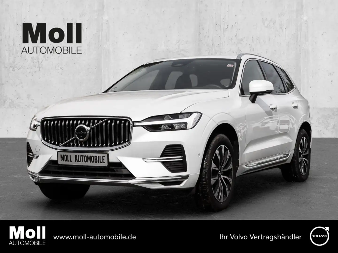 Volvo XC60 Plus Bright 2WD B4 Benzin EU6d digitales Cockpit M Weiß - 1