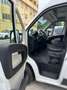 Citroen Jumper Jumper Fg. 2.2HDI 33 L2H2 130 Blanco - thumbnail 6