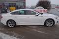 Audi A5 SB 50 TDI quattro tiptronic**V6/leasingfähig** Weiß - thumbnail 8