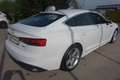 Audi A5 SB 50 TDI quattro tiptronic**V6/leasingfähig** Weiß - thumbnail 7