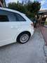 Audi A3 Sportback 1.6 tdi Ambition 110cv E6 - thumbnail 1