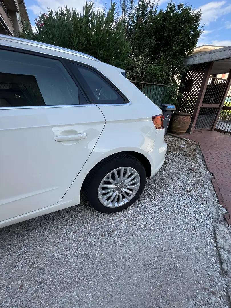 Audi A3 Sportback 1.6 tdi Ambition 110cv E6 - 1