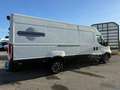Iveco Daily Kasten*3.0L*L5H2*LED*Hi-Matic*Navi*Cam* Blanc - thumbnail 25