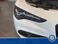Alfa Romeo Stelvio 2.2 Turbo Diesel 160CV AT8-RWD Veloce MY24 Bianco - thumbnail 15