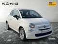 Fiat 500 MY23 1.0 GSE Hatchback Weiß - thumbnail 2