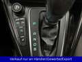 Ford Focus Lim. 1.5 EB Titanium Automatik AAC SHZ Nav Bleu - thumbnail 17
