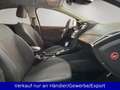 Ford Focus Lim. 1.5 EB Titanium Automatik AAC SHZ Nav Bleu - thumbnail 14