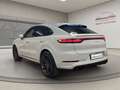 Porsche Cayenne Coupé 3.0 V6 TETTO! ITALIANA! PRONTA CONSEGNA! Bianco - thumbnail 7