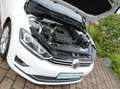 Volkswagen Golf Sportsvan VII 1.4 TSI Highline DSG ACC Xenon Blanco - thumbnail 13