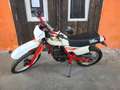 Honda XL 500 Weiß - thumbnail 5