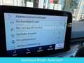 Ford Kuga Hybrid ST-Line X NAVI/SH/LED/VIRTUAL/HEADuP Gris - thumbnail 13
