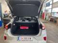 Ford Puma Sound Edition 1,0L Eboost MHEV 125PS M6 FWD Weiß - thumbnail 13