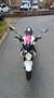 Suzuki Gladius 650 Blanc - thumbnail 17