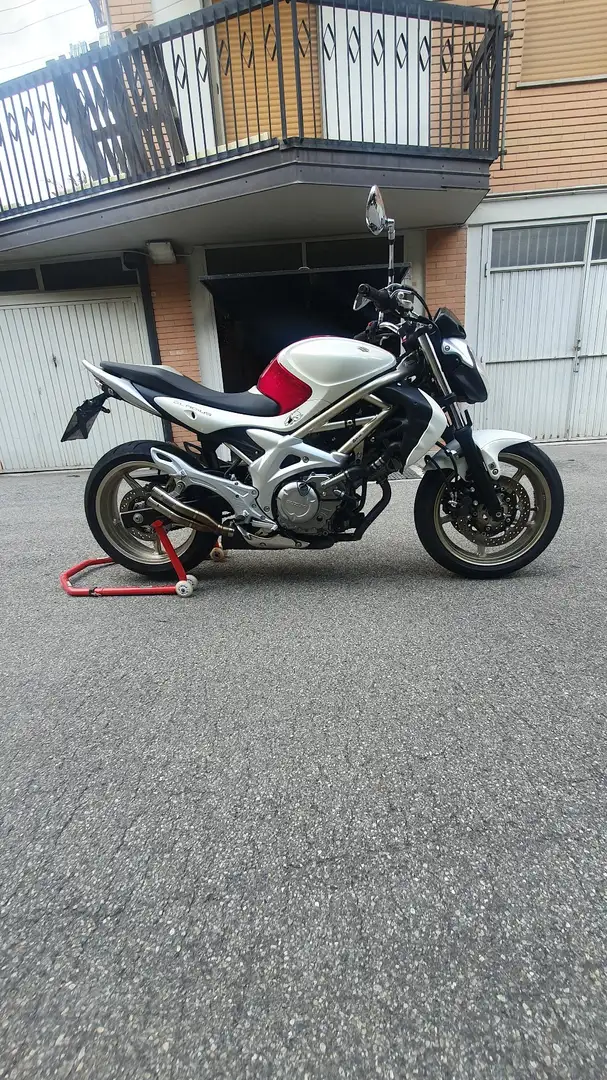Suzuki Gladius 650 Blanc - 1