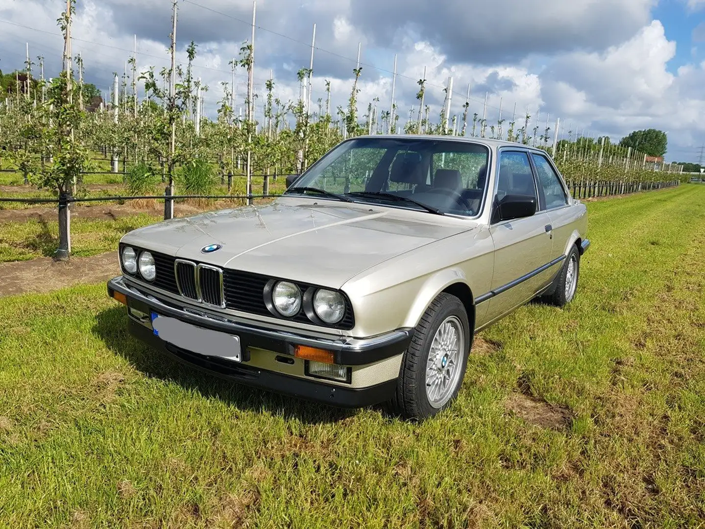 BMW 325 325i Beige - 2