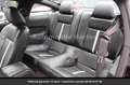 Ford Mustang GT Premium V8 Tout compris hors homologation 4500e Noir - thumbnail 2