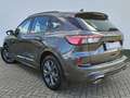 Ford Kuga 2.5 PHEV ST-LINE*HeadUp*AHK*LED*RFK* Grau - thumbnail 6